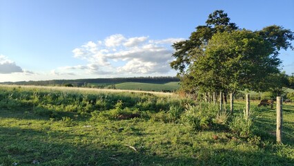 Um fim de tarde em uma fazenda de Boituva, interior do Estado de S&atilde;o Paulo, Brasil.