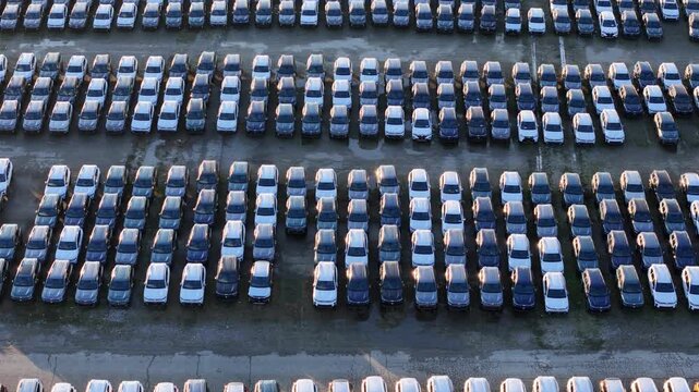 Cars parked in parallel rows inside a logistics storage yard, highlighting large scale vehicle handling, industrial organization, transport infrastructure, and automotive supply chain operations.