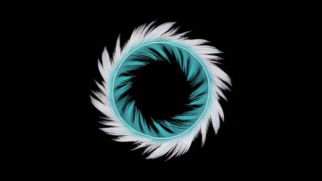 Circular Frame with White Feathers and Turquoise Border on Black