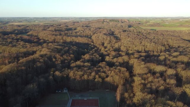 Aerial view of a leafless deciduous forest in Denmark during winter, revealing a tennis court nestled between bare trees in a quiet landscape.