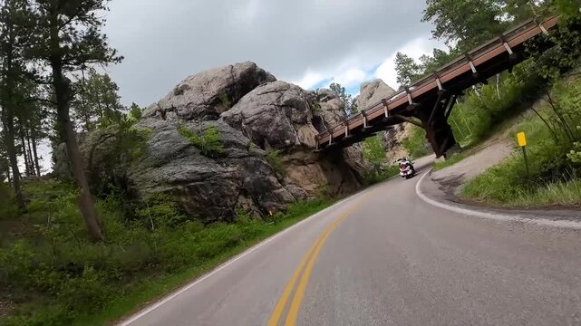 Road to Mount Rushmore, Black Hills National Forest