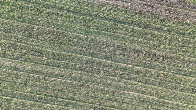 Top down aerial view of cultivated farmland showing parallel crop rows and exposed soil lines forming repetitive agricultural patterns.