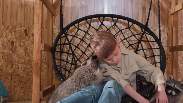 boy surprised by raccoon touch indoors, hanging swing chair, rustic plywood walls, child shifting on floor with cautious smile, raccoon reaching and sniffing, playful tension and reaction, learning