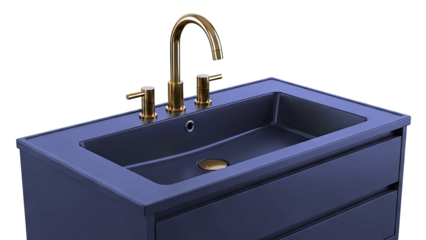 Modern Black Sink with Gold Faucet