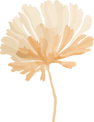 Delicate watercolor illustration of a single beige flower with intricate, textured petals