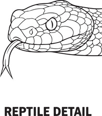 Naklejka premium Snake Head Line Art Illustration with Forked Tongue, Detailed Reptile Outline Drawing of a Serpent or Viper, Monochrome Vector Graphic