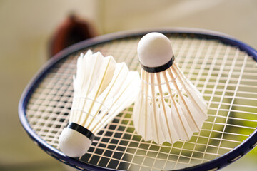 Two Badminton Shuttlecocks on Racket Different Angle Close Up