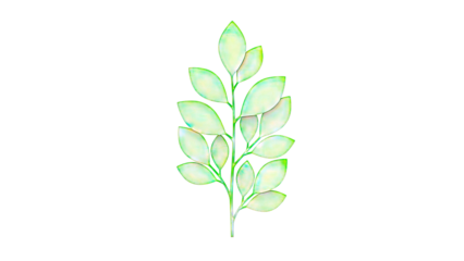 Stylized Green Leafy Branch on White Background