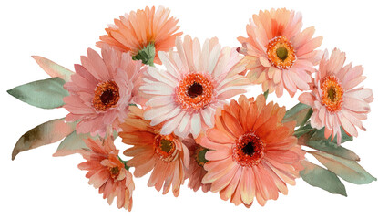 Watercolor illustration of a bouquet of gerbera daisies in soft peach and pink hues with green leaves