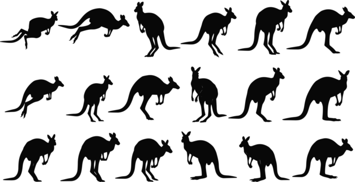 Black kangaroo silhouette vector collection featuring various poses like jumping hopping standing and grazing isolated on white background for wildlife nature and Australian outback design projects