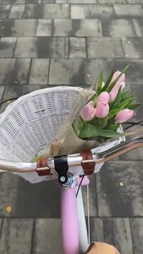 POV Riding a Pink Vintage Bicycle with Pink Tulips in a White Wicker Basket