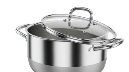 Stainless Steel Pot with Glass Lid
