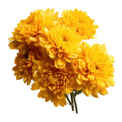 Close-up of a vibrant bouquet of golden yellow chrysanthemums against a stark black background