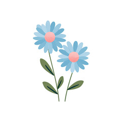 Delicate blue flower blooms, pastel colors on black background. Simple floral design