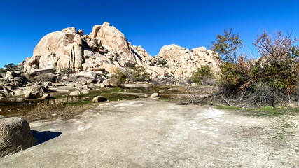 Joshua Tree National Park Barker Dam Desert Oasis in California