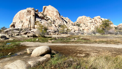 Joshua Tree National Park Barker Dam Desert Oasis in California
