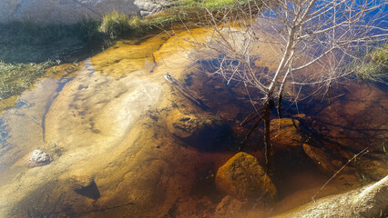 Joshua Tree National Park Barker Dam Desert Oasis in California