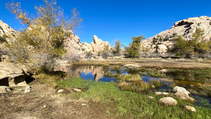 Joshua Tree National Park Barker Dam Desert Oasis in California