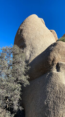 Joshua Tree National Park Rock Formations in California