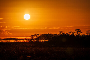 A flock of birds in silhouette flies across an orange and yellow sky as the sun rises over a...