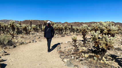 Woman Walking in Cholla Cactus Garden in Joshua Tree National Park