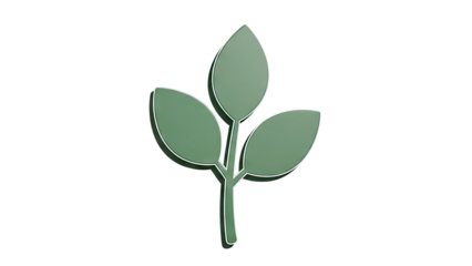 Green leaves on a white background
