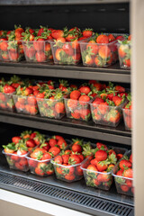 Red organic strawberries harvested in smart greenhouse and packed in plastic boxes, berries stored...