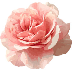 A detailed digital illustration of a blooming light pink rose against a black background