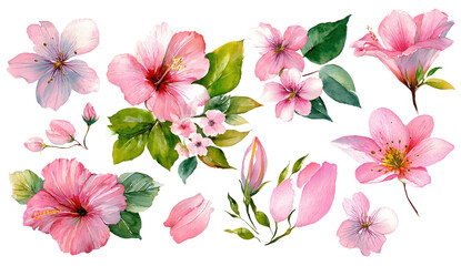 Watercolor floral arrangement featuring pink blossoms, green leaves, and petals against a black backdrop