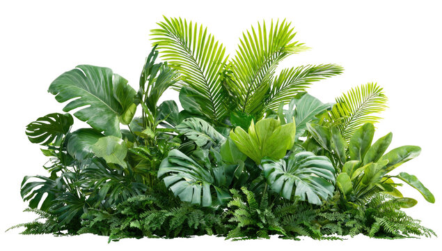 Lush, vibrant assortment of tropical foliage, with varying leaf sizes and textures