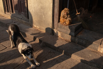 Swayambhunath Stupa in Kathmandu, Nepal