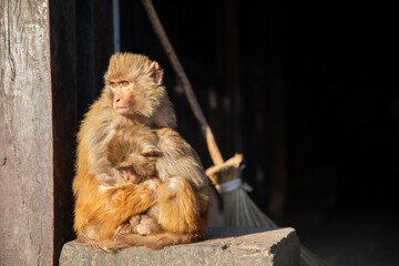 Swayambhunath Stupa in Kathmandu, Nepal