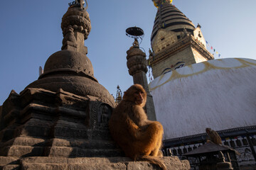 Swayambhunath Stupa in Kathmandu, Nepal