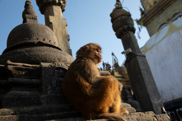 Swayambhunath Stupa in Kathmandu, Nepal