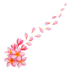 Pink flower petals falling from a bouquet isolated on transparent background