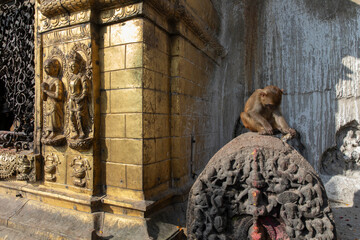 Swayambhunath Stupa in Kathmandu, Nepal