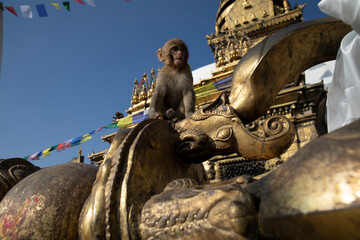 Swayambhunath Stupa in Kathmandu, Nepal