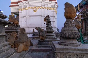 Swayambhunath Stupa in Kathmandu, Nepal