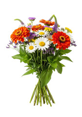 Obraz premium Vibrant diverse bouquet of orange red zinnias, white daisies, purple yellow filler, green foliage, on bright white background with copy space, concept of fresh summer beauty