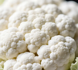 Macro close-up of cauliflower surface texture