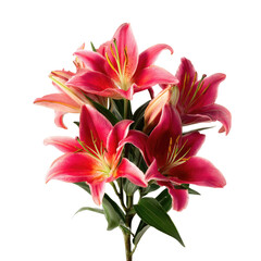 Close-up of a vibrant bouquet featuring multiple coral-red lily blooms with yellow stamens
