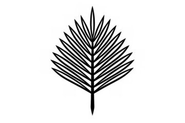 Black outline of a tropical palm leaf, a simple botanical illustration vector design element. The background is transparent