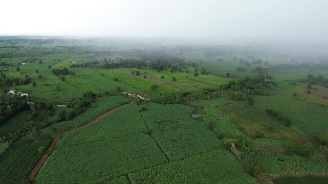Drone aerial farmland field green landscape fog agriculture countryside rural dawn view across patchwork crop plots, dirt road, tree line, stream, scattered forest, soft morning mist haze