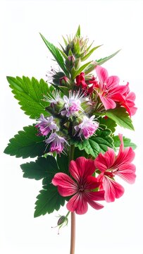 Floral arrangement featuring vibrant red geraniums and delicate purple flowers.