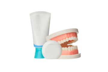 Teeth models with dental paste and container, isolated, PNG