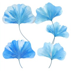 Watercolor illustration of five stylized, translucent blue gingko leaves on a white background