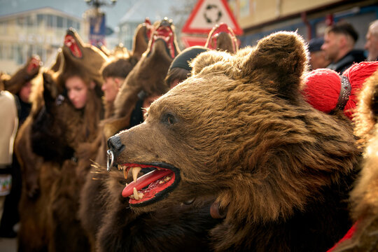 People dancing dressed in bearskin and folk costumes at the Comanesti Customs and Traditions Festival on December 30, 2025