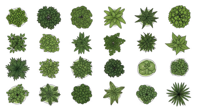Trees and Plants Vector Set for Floor Plan and Architectural Design
