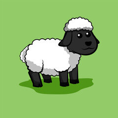 Obraz premium vector illustration of sheep