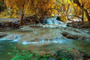 Stunning autumn waterfall in a golden forest with silky smooth water flowing through orange foliage. This beautiful seasonal landscape is ideal for fall travel, nature backgrounds, and serenity.
